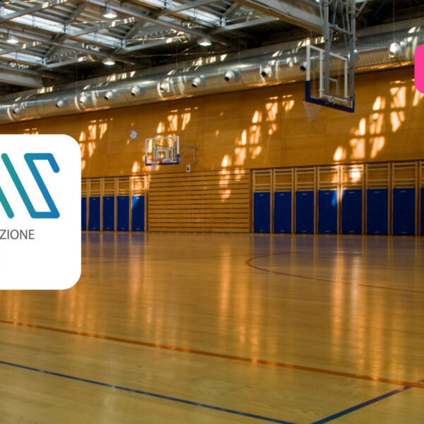 Il Webinar dell’AIS sul Partenariato Pubblico-Privato